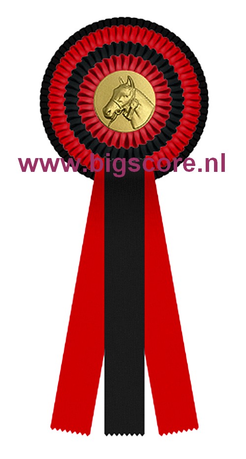 R 04 Multi 4-Ringsrozet Ø 15,5 L: 39,5 cm Blanco met optie Full-Colour logo Ø 50 mm